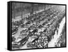 Us 1st Army in the Victory Parade, New York, USA, 10 September 1919-null-Framed Stretched Canvas