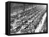 Us 1st Army in the Victory Parade, New York, USA, 10 September 1919-null-Framed Stretched Canvas