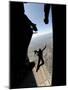 US Air Force Academy Parachute Team Jumps Out of an Aircraft over Nellis Air Force Base, Nevada-null-Mounted Photographic Print