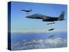 US Air Force F-15E Strike Eagle Aircraft Drops 2,000-Pound Joint Direct Attack Munitions-null-Stretched Canvas