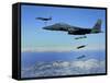 US Air Force F-15E Strike Eagle Aircraft Drops 2,000-Pound Joint Direct Attack Munitions-null-Framed Stretched Canvas