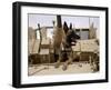 US Air Force Military Working Dog Sits on a US Army M2A3 Bradley Fighting Vehicle-Stocktrek Images-Framed Premium Photographic Print