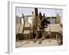 US Air Force Military Working Dog Sits on a US Army M2A3 Bradley Fighting Vehicle-Stocktrek Images-Framed Photographic Print