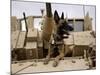 US Air Force Military Working Dog Sits on a US Army M2A3 Bradley Fighting Vehicle-Stocktrek Images-Mounted Photographic Print