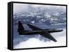 US Air Force U-2 High-Altitude Reconnaissance Aircraft-null-Framed Stretched Canvas