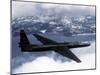 US Air Force U-2 High-Altitude Reconnaissance Aircraft-null-Mounted Photo