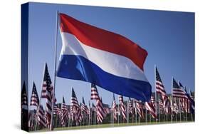 US and Dutch Flag-Joseph Sohm-Stretched Canvas