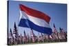 US and Dutch Flag-Joseph Sohm-Stretched Canvas