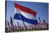 US and Dutch Flag-Joseph Sohm-Stretched Canvas