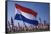 US and Dutch Flag-Joseph Sohm-Framed Stretched Canvas