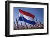 US and Dutch Flag-Joseph Sohm-Framed Photographic Print