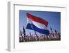 US and Dutch Flag-Joseph Sohm-Framed Photographic Print