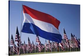 US and Dutch Flag-Joseph Sohm-Stretched Canvas