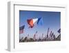 US and French Flag-Joseph Sohm-Framed Photographic Print