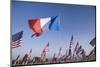 US and French Flag-Joseph Sohm-Mounted Photographic Print