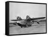 US Army Air Corp Oa-9-null-Framed Stretched Canvas