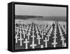 US Army Cemetery at Omaha Beach-Leonard Mccombe-Framed Stretched Canvas