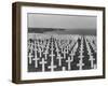 US Army Cemetery at Omaha Beach-Leonard Mccombe-Framed Photographic Print