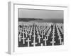 US Army Cemetery at Omaha Beach-Leonard Mccombe-Framed Photographic Print