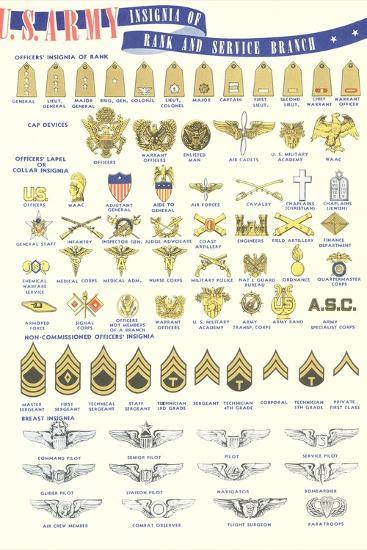 'US Army Rank and Service Insignia' Posters | AllPosters.com