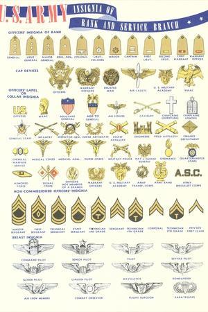 'US Army Rank and Service Insignia' Posters | AllPosters.com