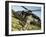 US Army Soldiers Board a UH-60 Black Hawk Helicopter-Stocktrek Images-Framed Photographic Print