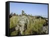 US Army Soldiers Prepare to Board a UH-60 Black Hawk Helicopter-Stocktrek Images-Framed Stretched Canvas