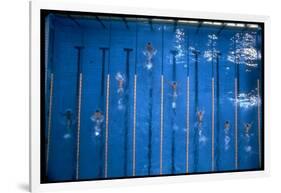 US Athlete Mark Spitz Leads in the 200 Meter Butterfly at the Summer Olympics-Co Rentmeester-Framed Photographic Print