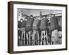 US Bobsledding Team Drinking Beer as Part of Diet to Keep Weight Up-null-Framed Photographic Print