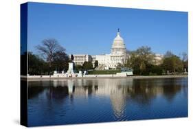 US Capitol and Capitol Hill Washington DC-sborisov-Stretched Canvas