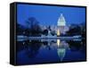 US Capitol and Christmas Tree-Walter Bibikow-Framed Stretched Canvas