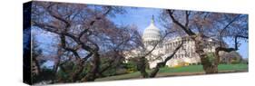 Us Capitol Building and Cherry Blossoms, Washington Dc-null-Stretched Canvas