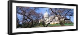 Us Capitol Building and Cherry Blossoms, Washington Dc-null-Framed Photographic Print