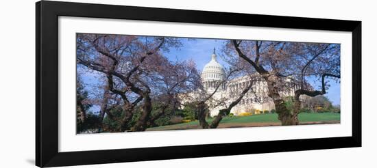 Us Capitol Building and Cherry Blossoms, Washington Dc-null-Framed Photographic Print