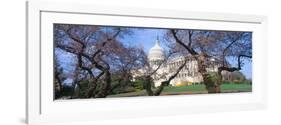 Us Capitol Building and Cherry Blossoms, Washington Dc-null-Framed Photographic Print