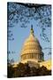 US Capitol Dome-Richard T. Nowitz-Stretched Canvas