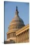 US Capitol Dome-Richard T. Nowitz-Stretched Canvas