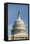 Us Capitol Dome-MDpic-Framed Stretched Canvas