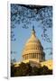 US Capitol Dome-Richard T. Nowitz-Framed Photographic Print