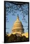 US Capitol Dome-Richard T. Nowitz-Framed Photographic Print