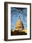 US Capitol Dome-Richard T. Nowitz-Framed Photographic Print