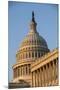 US Capitol Dome-Richard T. Nowitz-Mounted Photographic Print