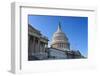 US Capitol, Washington DC-sborisov-Framed Photographic Print