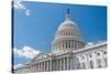 Us Capitol-robhillphoto com-Stretched Canvas