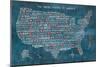 US City Map on Wood Blue-Michael Mullan-Mounted Art Print