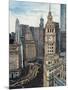 US Cityscape-Chicago-Melissa Wang-Mounted Art Print