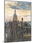 US Cityscape-NYC-Melissa Wang-Mounted Art Print