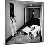 US Coast Guard Academy, Lower Classmen Bowing over Books, Hoping for Luck in Examinations-William C^ Shrout-Mounted Photographic Print