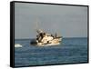 Us Coast Guard, Key West, Florida, USA-R H Productions-Framed Stretched Canvas