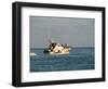 Us Coast Guard, Key West, Florida, USA-R H Productions-Framed Photographic Print